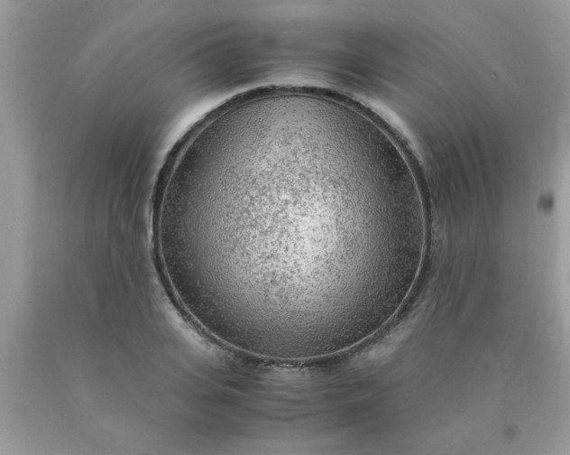 X0000090470935200707272255