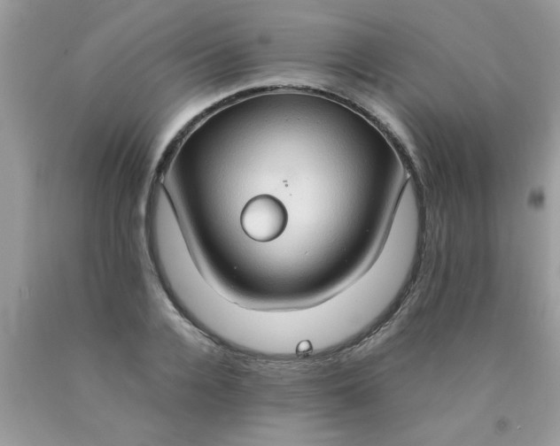 X0000090470936200707272255