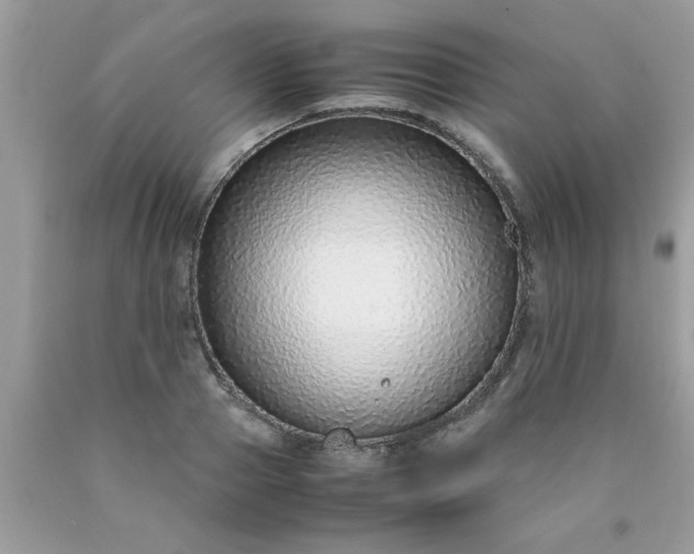 X0000090470937200707272255