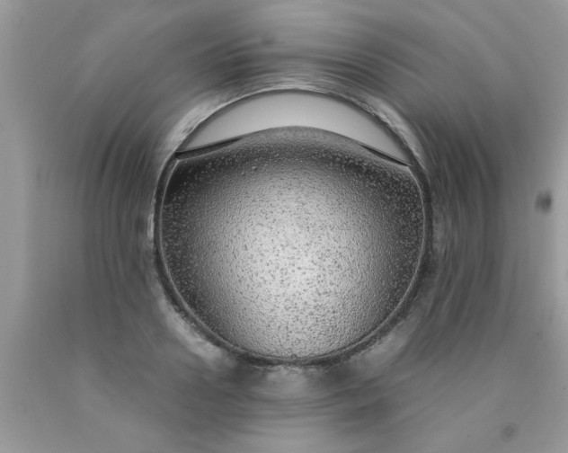 X0000090470938200707272255