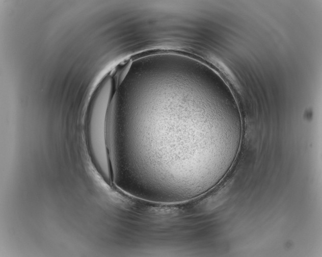 X0000090470939200707272255