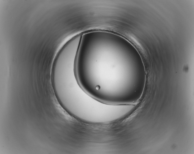 X0000090470940200707272255