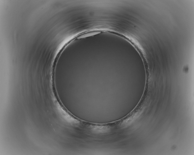 X0000090470941200707272255