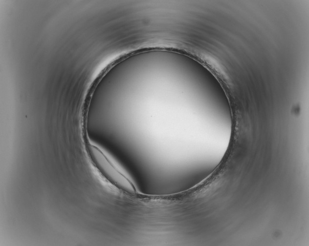 X0000090470942200707272255