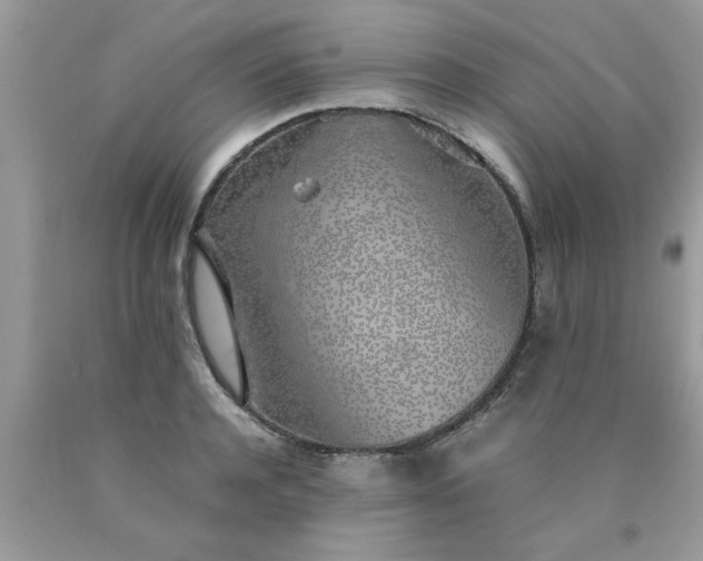 X0000090470944200707272255