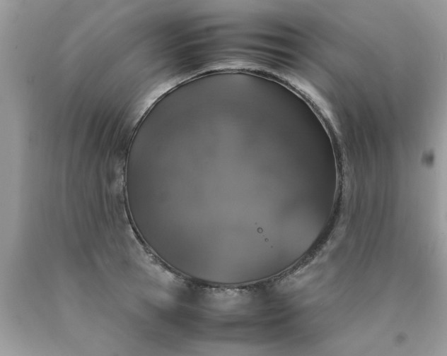 X0000090470945200707272255