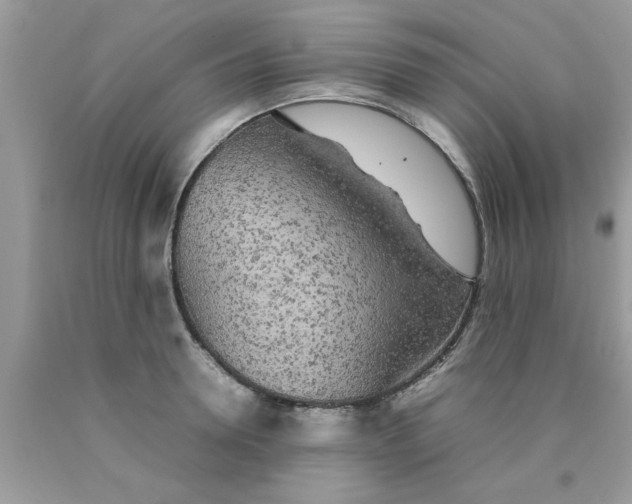 X0000090470946200707272255