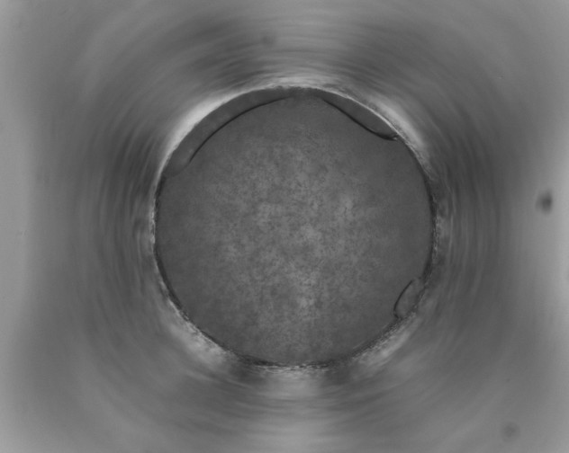 X0000090470948200707272255