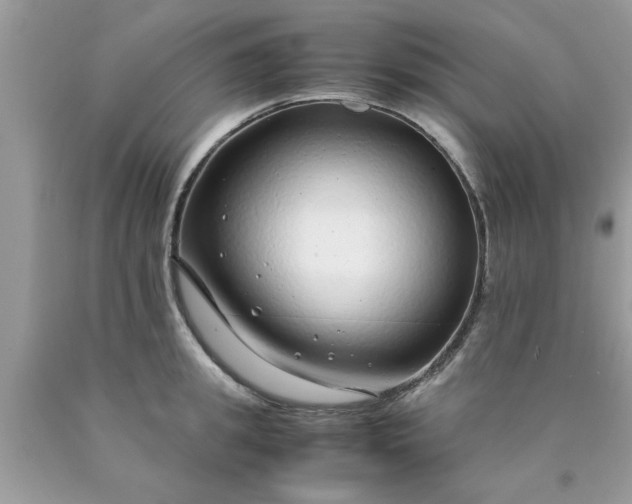 X0000090470949200707272255