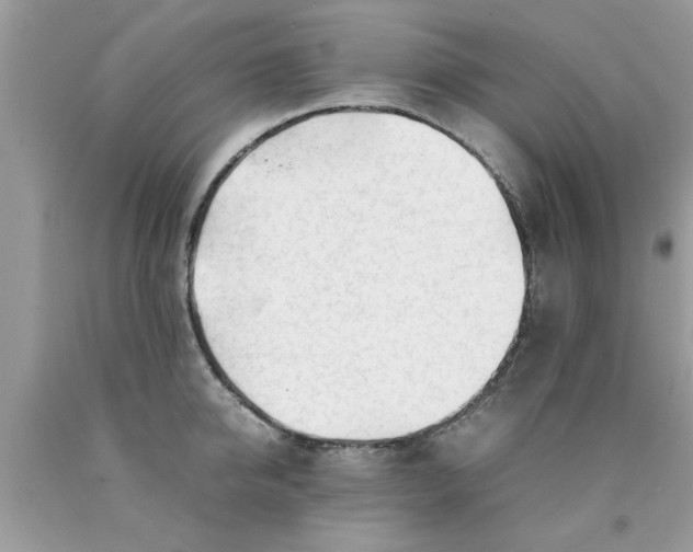 X0000090470950200707272255