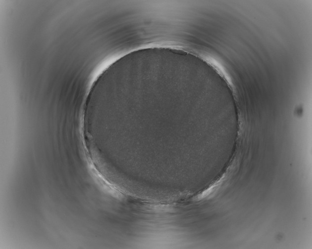 X0000090470952200707272255