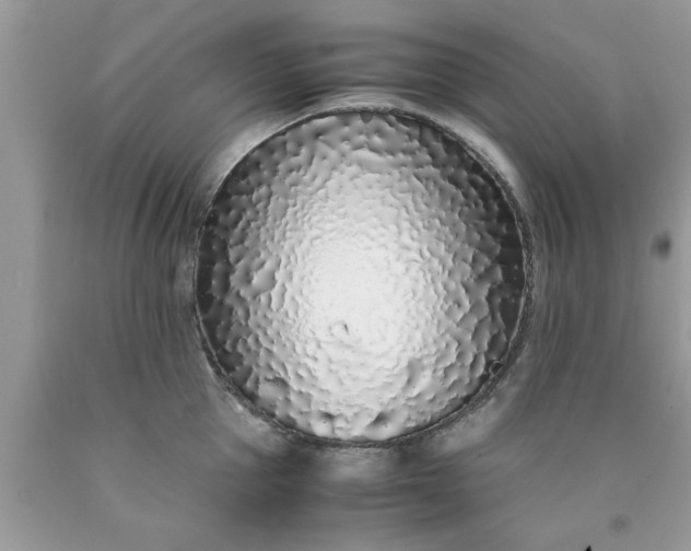 X0000090470953200707272255