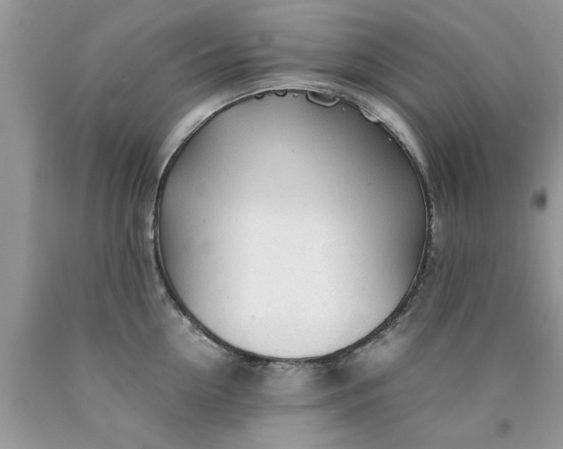 X0000090470954200707272255