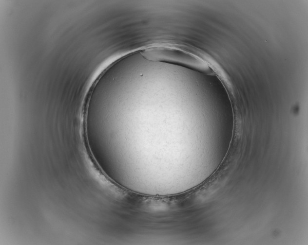 X0000090470955200707272255