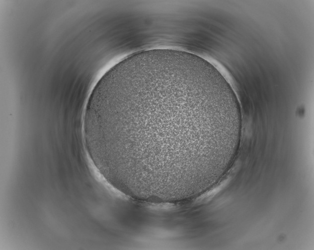 X0000090470957200707272255