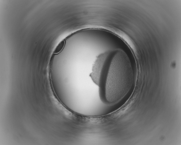 X0000090470958200707272255