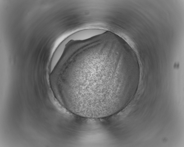 X0000090470960200707272255