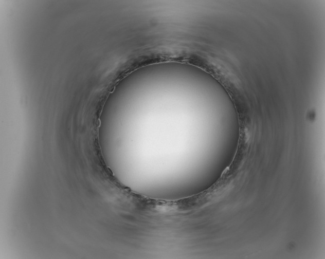 X0000090470961200707272255