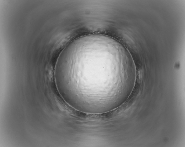 X0000090470963200707272254