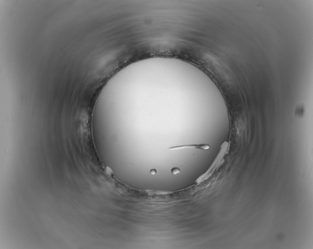 X0000090470964200707272254