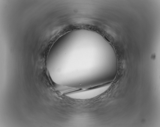 X0000090470965200707272254