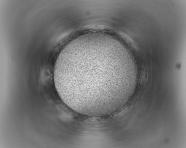 X0000090470966200707272254