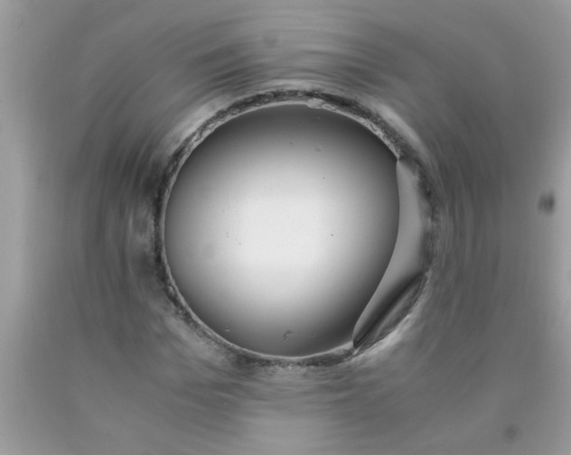 X0000090470969200707272254