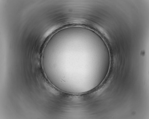 X0000090470970200707272254