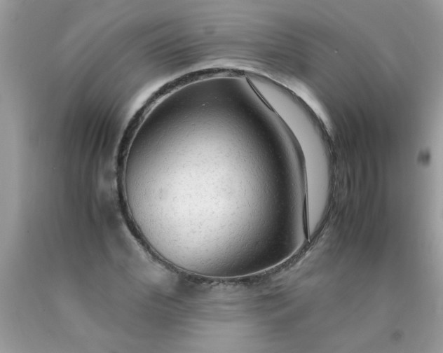 X0000090470972200707272254