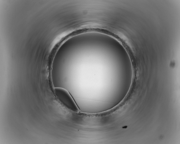 X0000090470973200707272254