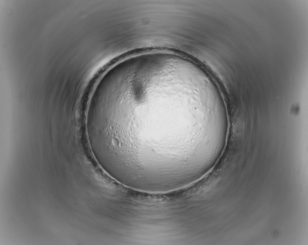 X0000090470975200707272254