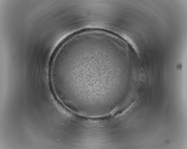 X0000090470976200707272254