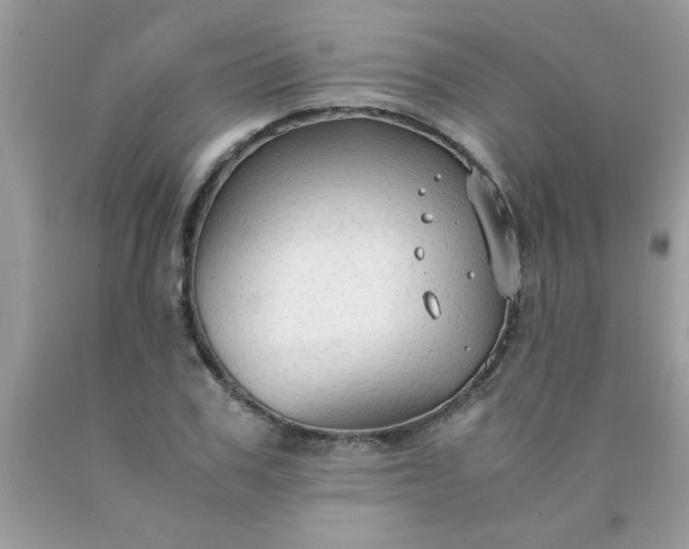 X0000090470979200707272254