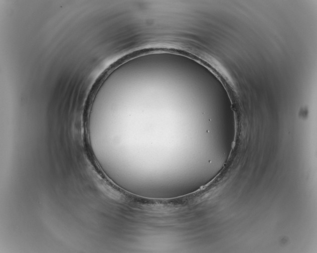 X0000090470980200707272254