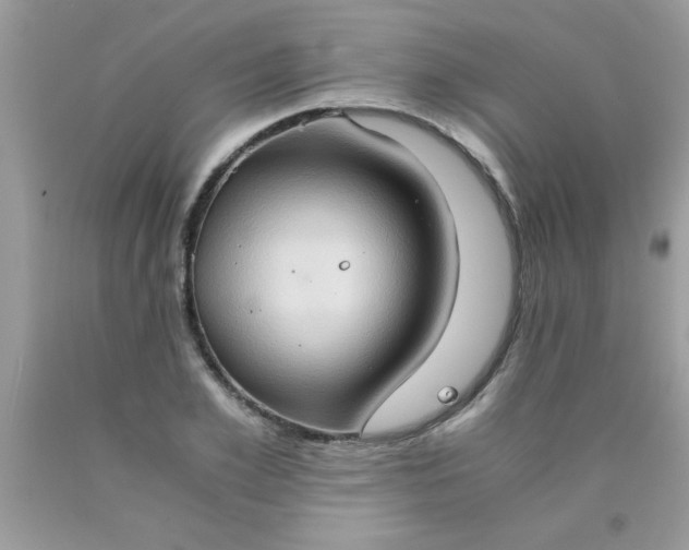 X0000090470981200707272254