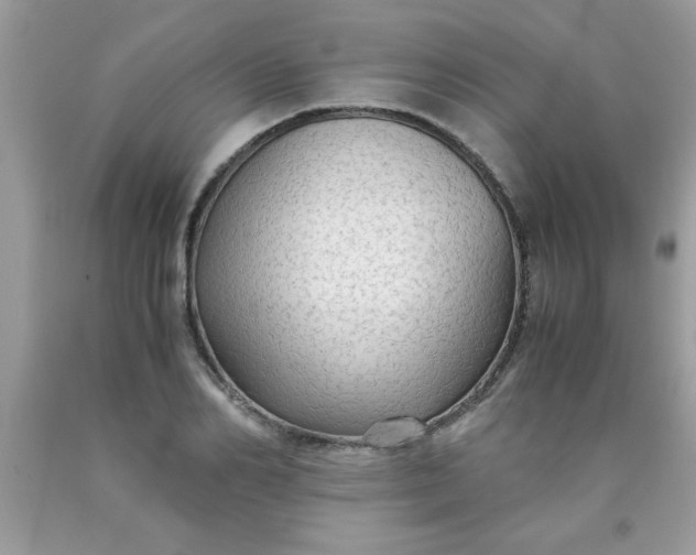 X0000090470982200707272254