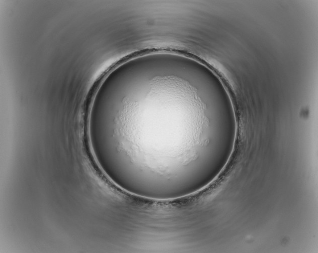 X0000090470983200707272254