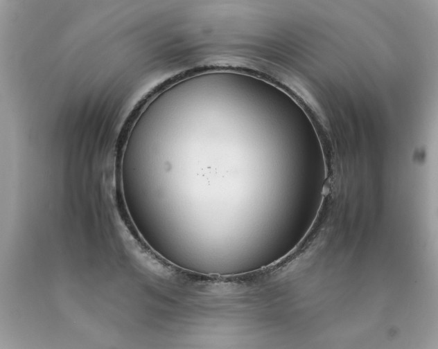 X0000090470984200707272254