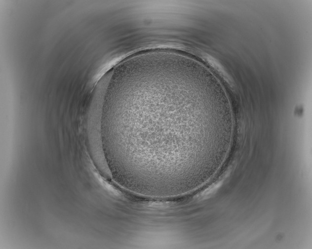 X0000090470985200707272254