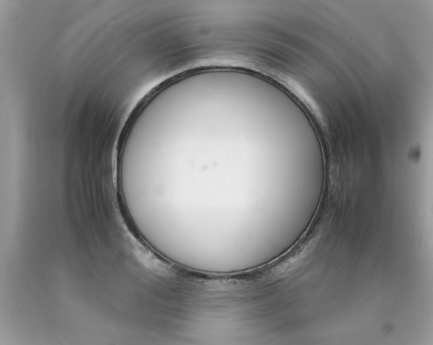 X0000090470988200707272254