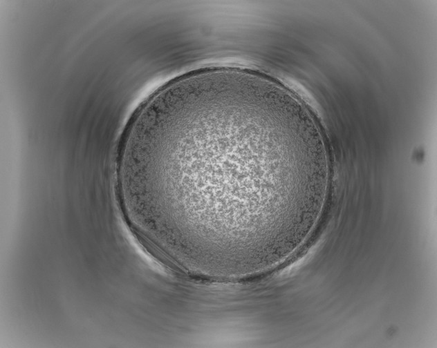 X0000090470989200707272254