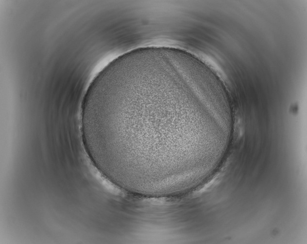 X0000090470990200707272254