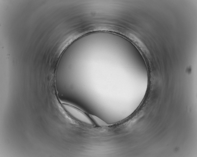 X0000090470993200707272254