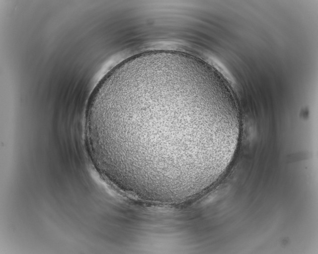 X0000090470994200707272254