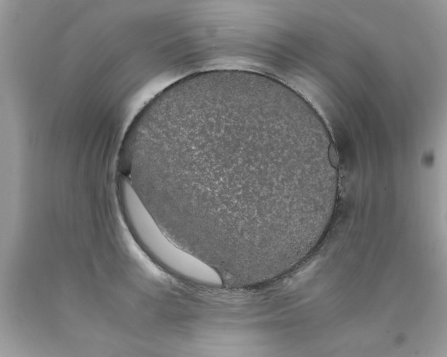 X0000090470995200707272254