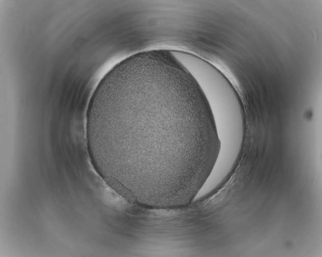 X0000090470996200707272254