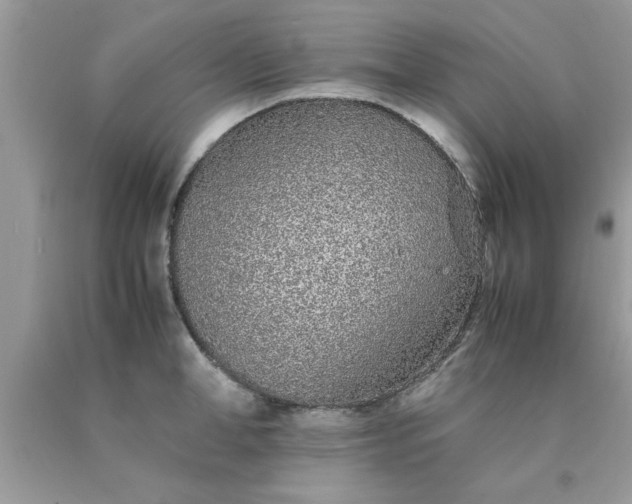 X0000090470998200707272254