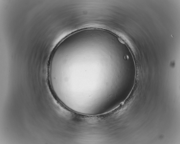 X0000090470999200707272254