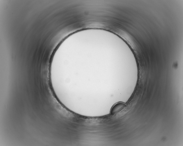 X0000090471000200707272254