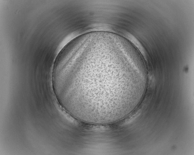 X0000090471002200707272254